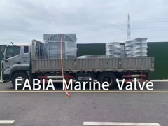 FABIA समुद्री वाल्व