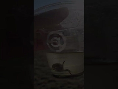 50 मिमी 400 मिमी 300 मिमी कार्बन स्टील फ्लैंग वेंटिलेशन तितली वाल्व